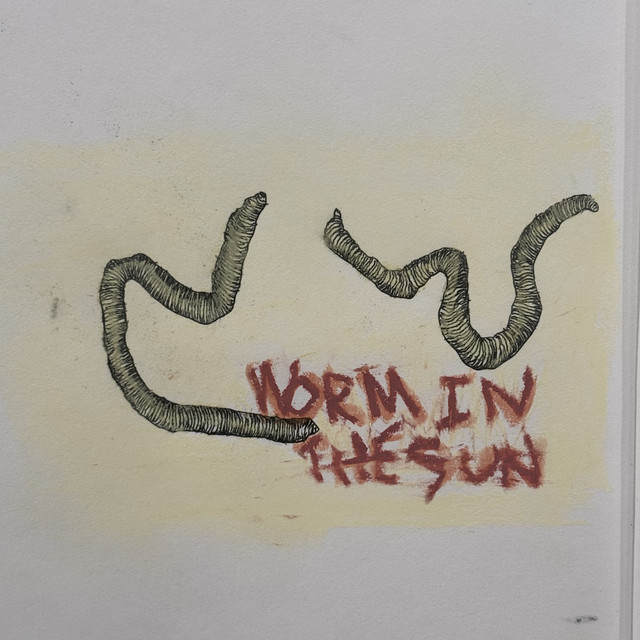 Worm in the Sun cover