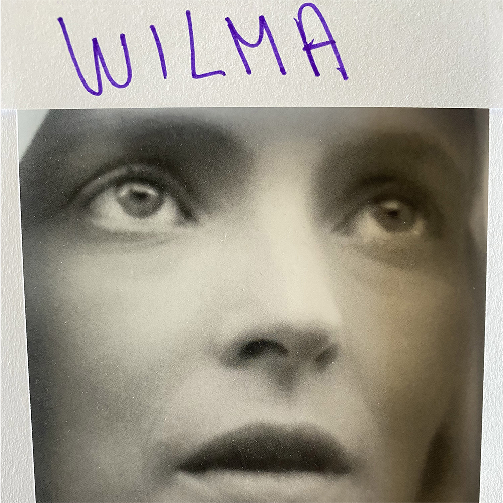 Wilma album cover
